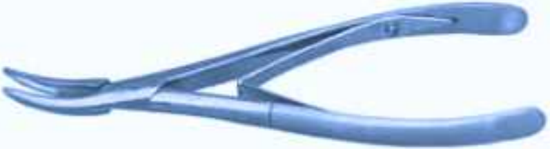 Beyer Bone Nibbling Ronguer Single Action